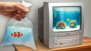I Transformed a TV into a Fish Tank