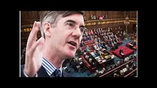 Rees-Mogg makes BRILLIANT point about 'unconstitutional' Lords Brexit vote