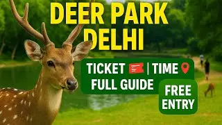 Deer Park Delhi &ndash; फ्री एंट्री! Ticket, Time & Full Guide | Hauz Khas ! 