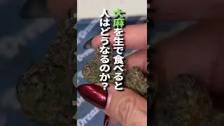 生の #大麻 食べたらハイになる？
