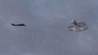 Best UFO Sightings 10-4-2014