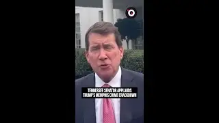Tennessee senator applauds Trump's Memphis crime crackdown