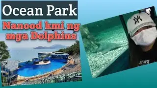 First time makakita ng Dolphin😅