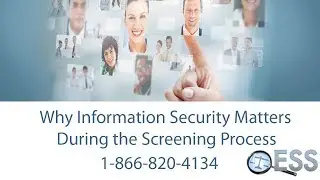 Why Data Security Is Vital During the Background Screening Process