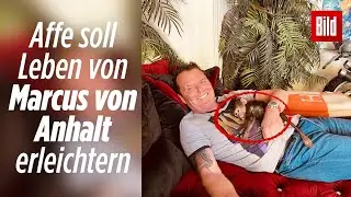 Prinz Marcus von Anhalt schenkt seiner Tochter 10 Wochen altes Affen-Baby