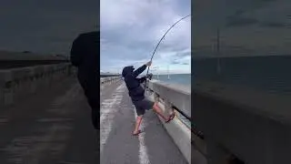 Pulling a Big Fish #fishinglife #fishing #travel #hmong #hmoob #contest