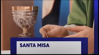 SANTA MISA DOMINICAL TRECE TV | Catedral-Basílica de Palma de Mallorca | 06/10/2024