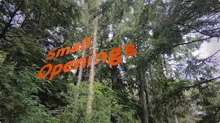 Layout Planning: Small Openings (3 of 8) | WorkSafeBC