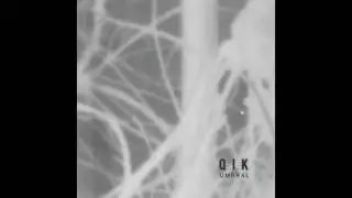 Qik - Ensue&ntilde;a
