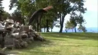 Extreme Tae Kwon Do: Valentino Solinas'Demo