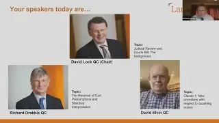 Judicial Review and Courts Bill - webinar