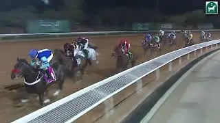 RIYADH RACING SEASON MEETING NO 65 RACE NO 11