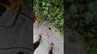 We provide Storm Drain Cleaning, Sewer Cleaning and Drain Cleaning Services in Los Angeles.