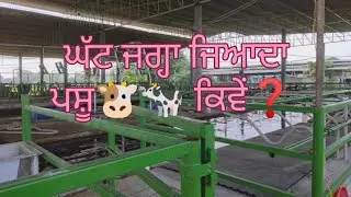 Comment ka video Benefit of straight line cubicles vs zigzag cubicles.