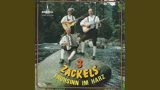 Komm doch in den Harzerwald