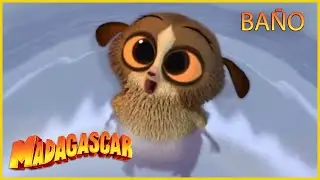 Viva el Rey Julien | Hora del baño | Madagascar | Dibujos animados para niños BAÑO