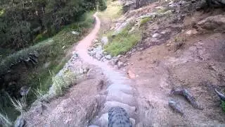Four mile link trail downhill from Four Mile Canyon