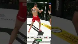 OLEKSIEJCZUK POKONAŁ STRUSA W PIERWSZEJ RUNDZIE #shorts