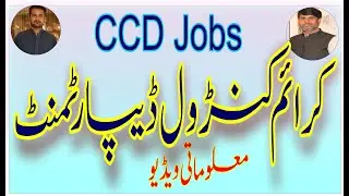 Crime Control department CCD jobs | CCD jobs | Punjab police jobs 2025 | CCD Jobs 2025 detail |