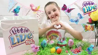 LITTLE LIVE PETS FLUTTERWINGS BUTTERFLIES AND LIGHT UP SONGBIRDS