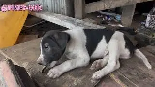 He ran away to play with his mother.