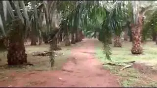 East Yedavalli