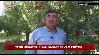Yeşilhisar Kayadibi Mahallesinde Kışlık Elma Hasatı Devam Ediyor Haberimiz 