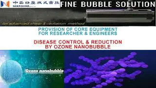 Ozone & Oxygen Nanobubble - Shrimp gills and AHPND