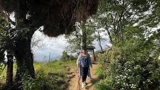 Bir Billing via Palampur road trip | Bir Cafe hopping | The Himaal | Things to do in Bir | May'23