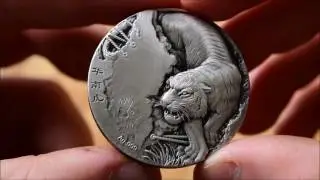 Shenyang Antique Tiger - In Focus Friday - Episode 47!