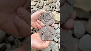 Round Stone CRACKED Open!