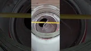 Lata de Coca Cola.