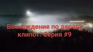 Восхождение по дереву Клипот. Серия #9. Клипа Ореб-Зарак. Задания Баалцельмота