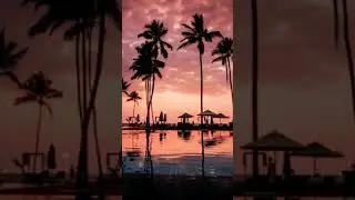 SERENE SUNSET ESCAPE: Lakeview Bliss with Soothing Birds & Palm Trees Reflection. #waterview #nature