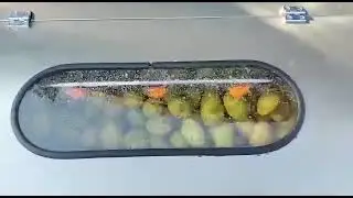 Vegetable Piller & Washer Machine For Potatoes, Onions, Carrots, Ginger, Turmeric, Beetroot & other