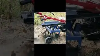 Best digger! #shorts #best #video #youtubeshorts