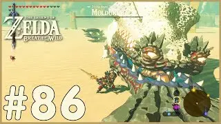 Zelda: Breath Of The Wild - Molduking (86)