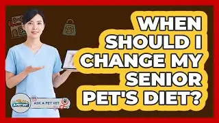 When Should I Change My Senior Pet's Diet?