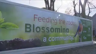 Indoor food production system in Buffalo to fight food insecurity