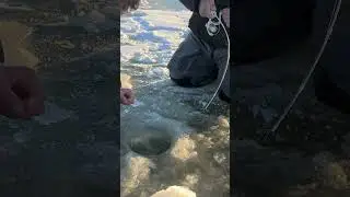 I Caught A Monster Trout!! #icefishing #rainbowtrout #earlyice #fishingcolorado