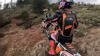 La PIEDROSA 4t