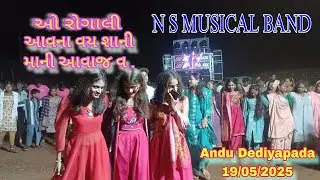 N S MUSICAL BAND   ખટાલી ટીમલી . ઓ રોગાલી આવજ વા શાની માની આવાજ વા. At:- Anadu Dediyapada 19/05/25