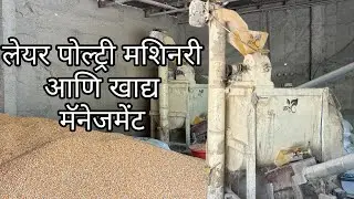 लेयर पोल्ट्री मशिनरी आणि खाद्य मॅनेजमेंट #poultry #farming #trending 