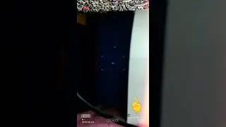 2nd Day Betta Fry || Betta Breeding || Betta Fry Growth