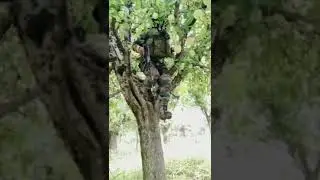 Army❤ #viralshorts #short #angniveer #armymotivationalvideo #short #shorts #shortsvideo #freefire