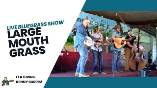 Largemouth Grass at Nine Mile Bluegrass Festival - June 2022