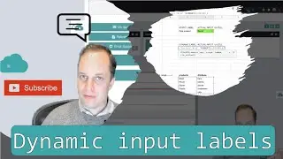 Molnify app with dynamic input labels