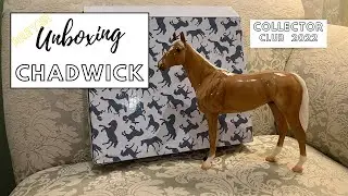 Breyer Unboxing | Chadwick | Collector Club Model | 2022