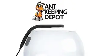Ant Keeping Depot | Collar Pico Soft USB Light