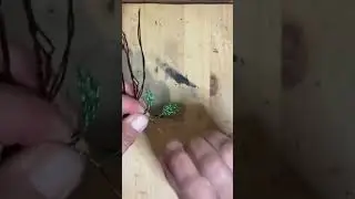 Just a quick twist of leaf part to branch.